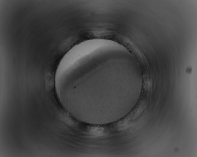 X0000102840471200809081224