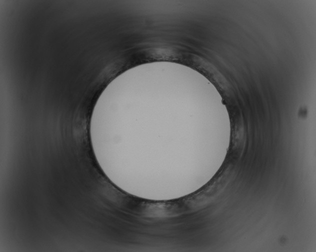 X0000102840473200809081224