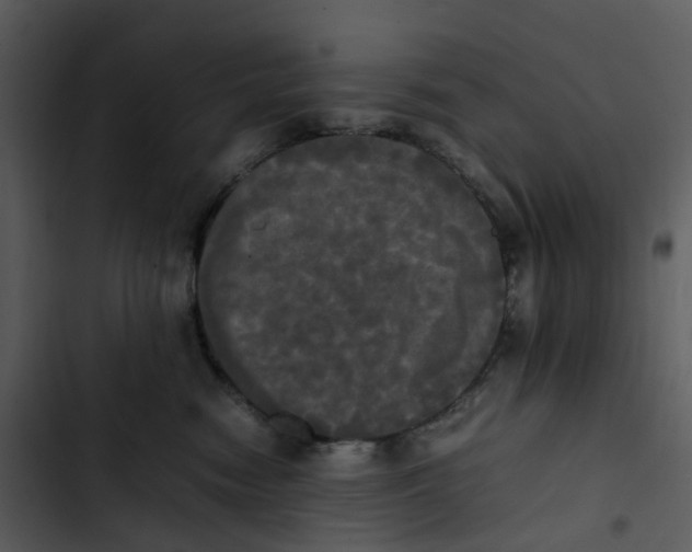 X0000102840474200809081224