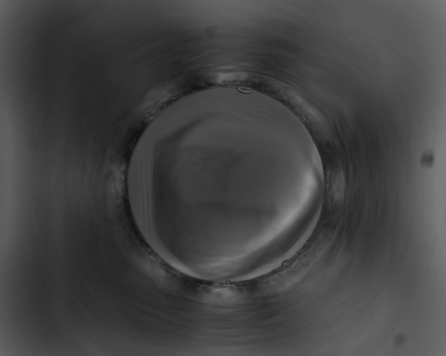 X0000102840475200809081224