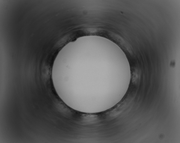 X0000102840476200809081224