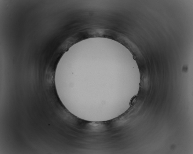 X0000102840477200809081224