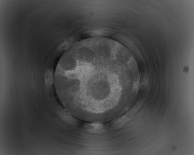 X0000102840478200809081224