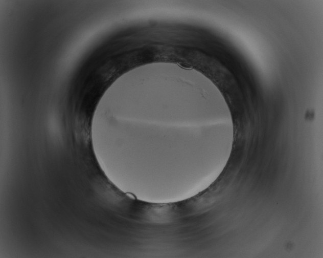 X0000102840479200809081224