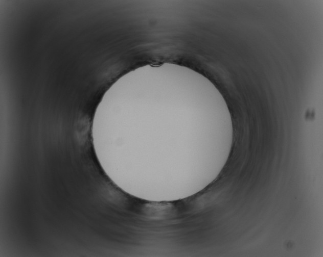 X0000102840480200809081224