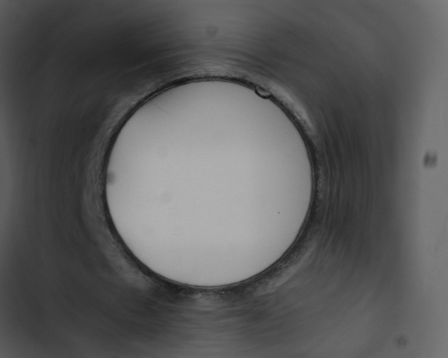 X0000102840481200809081223