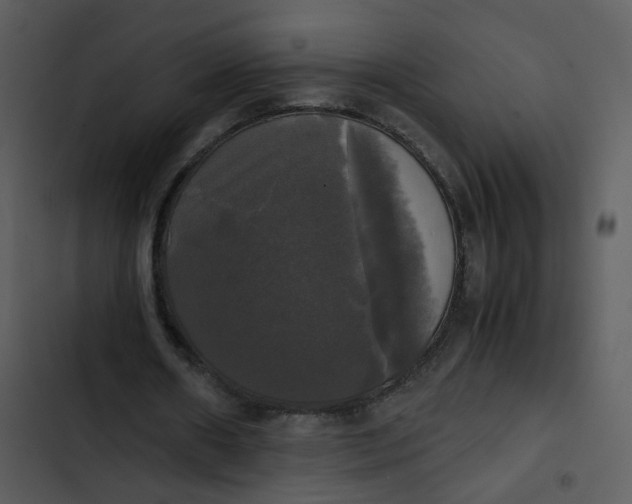 X0000102840482200809081223