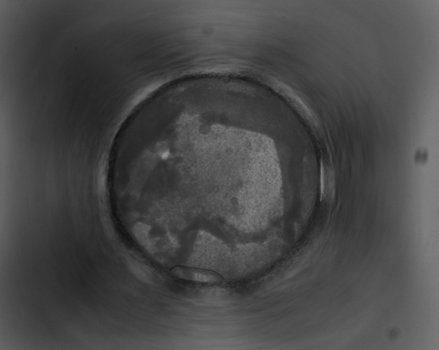 X0000102840483200809081223