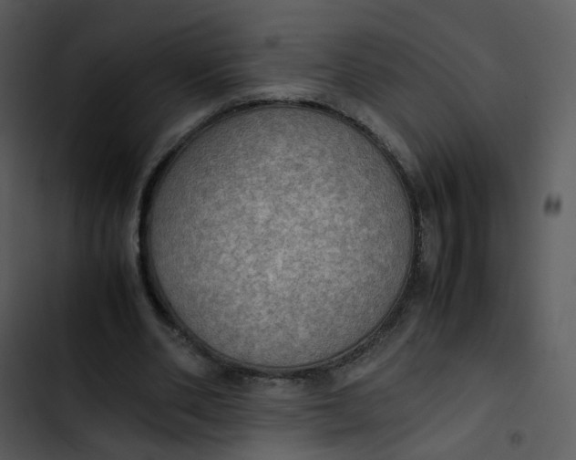 X0000102840486200809081223