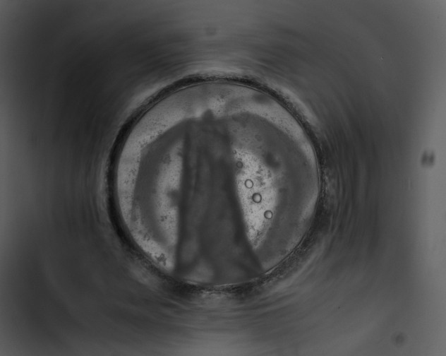 X0000102840487200809081223