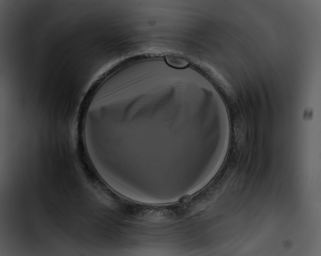 X0000102840488200809081223