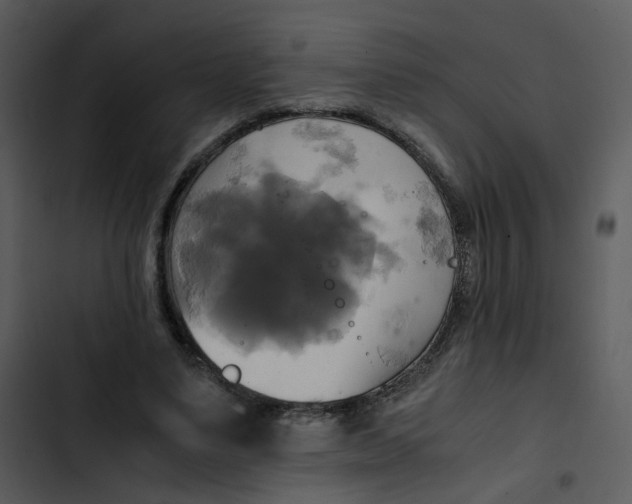 X0000102840491200809081223