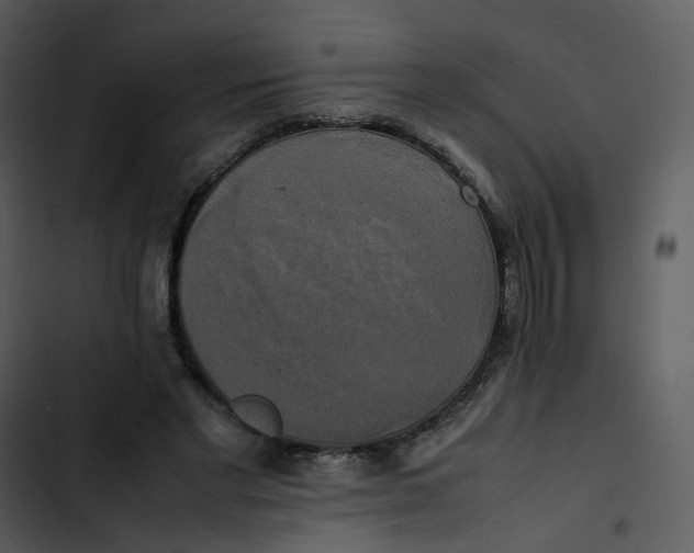 X0000102840493200809081223