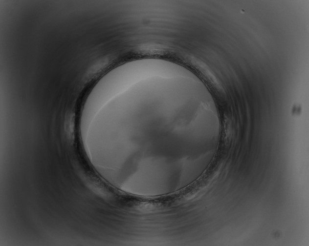 X0000102840494200809081223