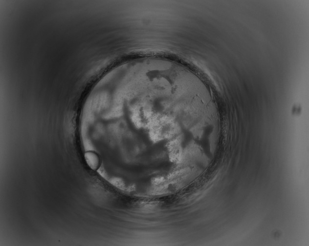 X0000102840495200809081223