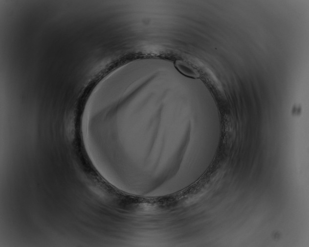 X0000102840496200809081223