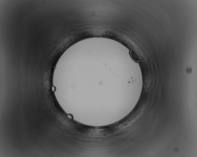 X0000102840497200809081223