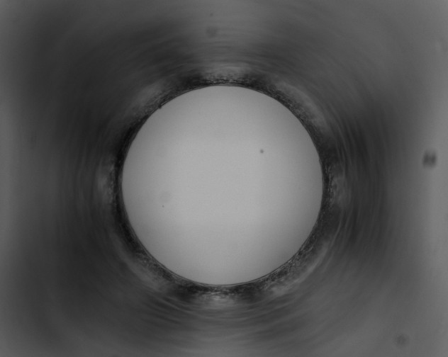 X0000102840498200809081223