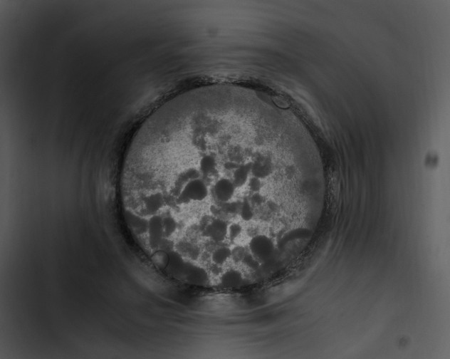 X0000102840499200809081223