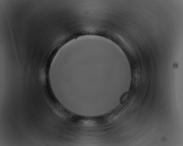 X0000102840500200809081223