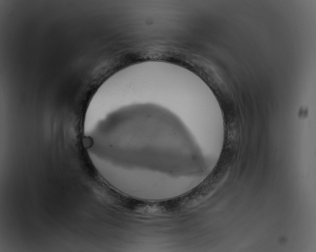 X0000102840503200809081223