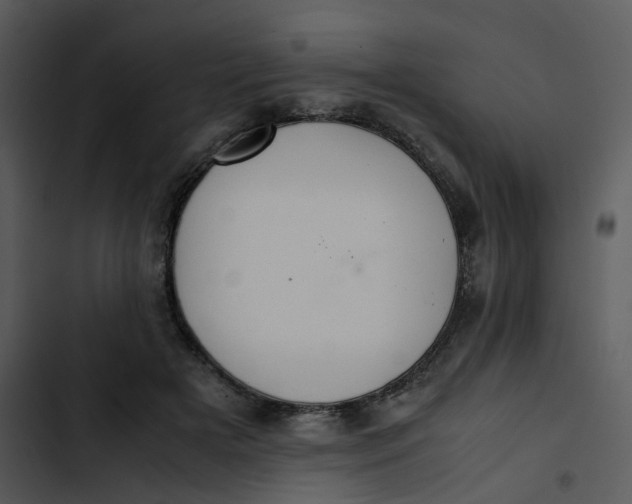 X0000102840505200809081223