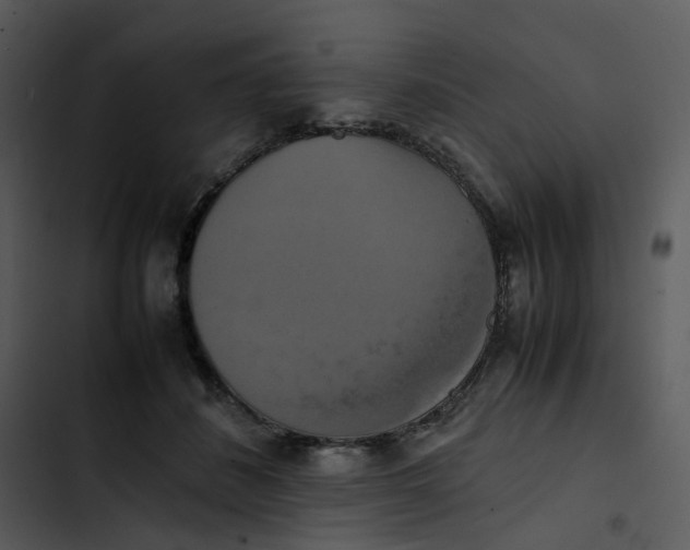 X0000102840508200809081223