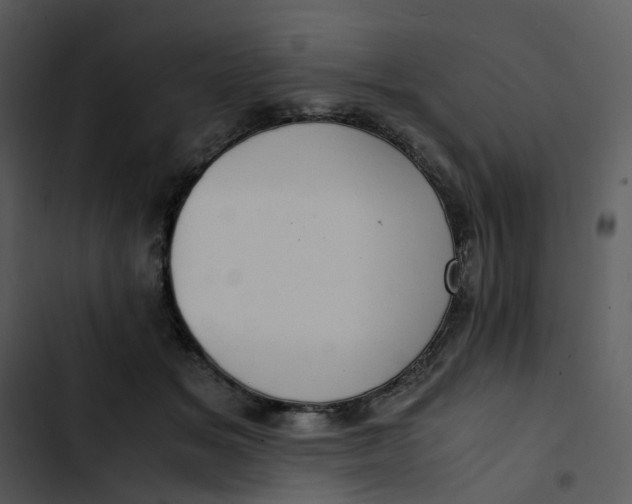 X0000102840509200809081223