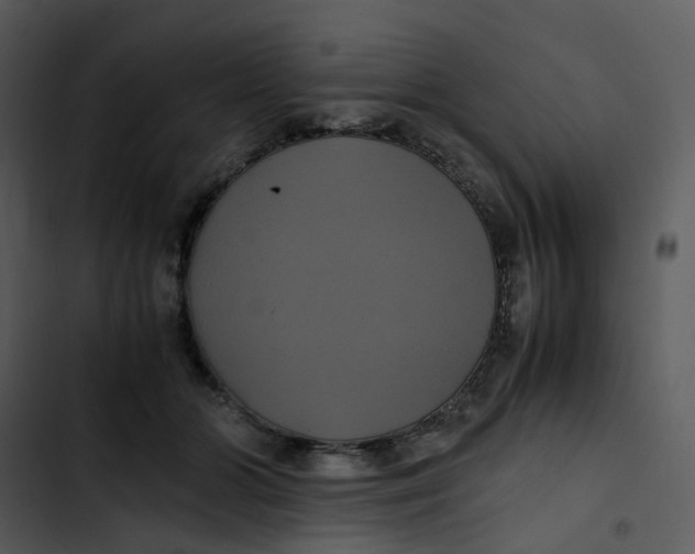 X0000102840510200809081223