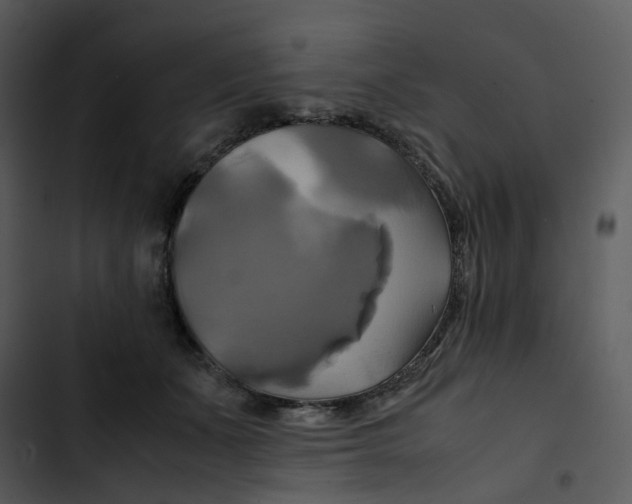 X0000102840511200809081223