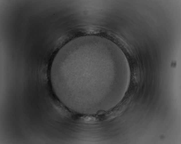 X0000102840512200809081223