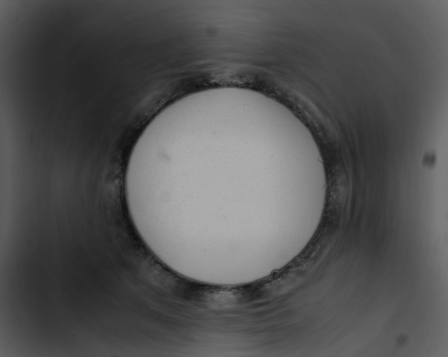 X0000102840513200809081223