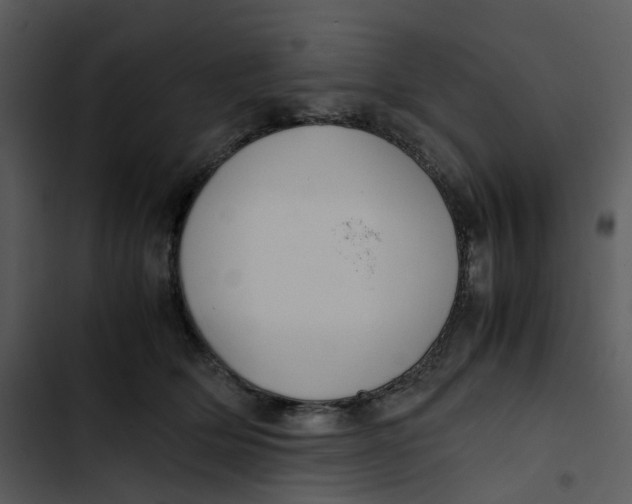 X0000102840514200809081223