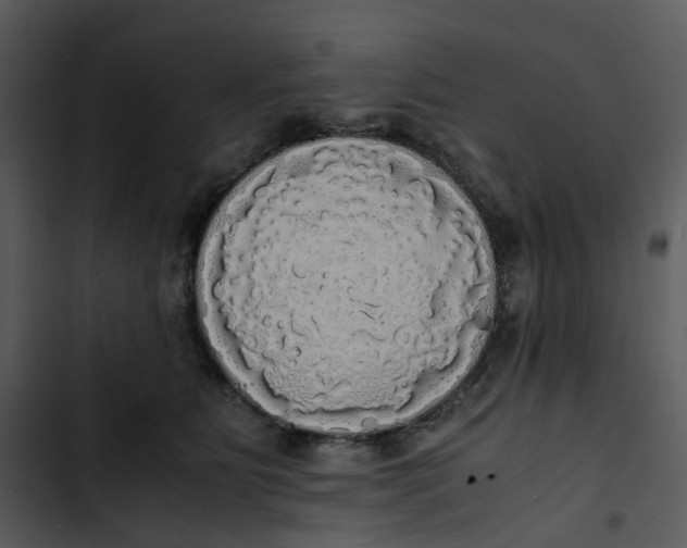 X0000102840515200809081223