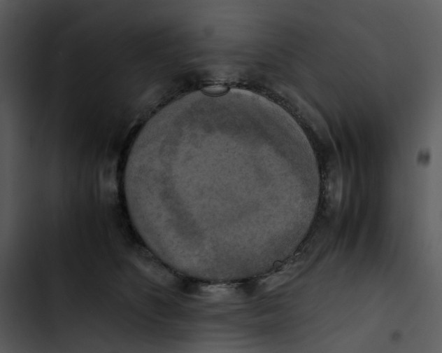 X0000102840516200809081223