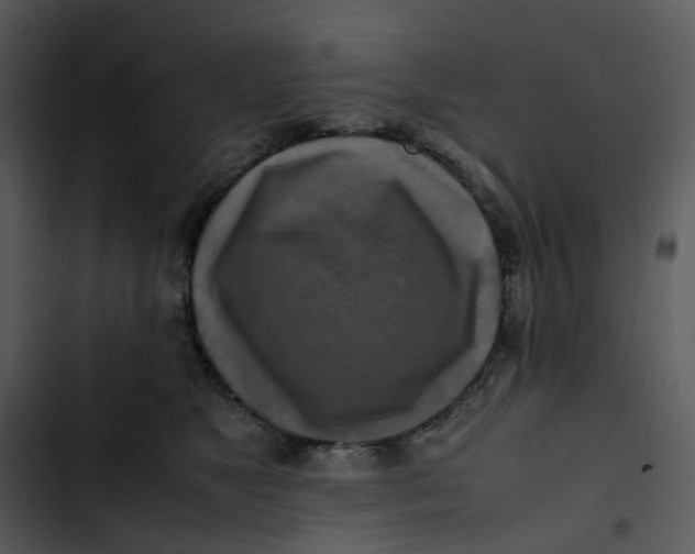 X0000102840517200809081223