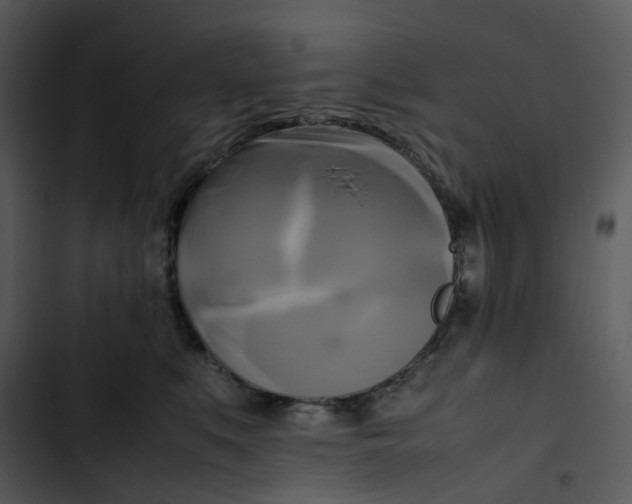 X0000102840519200809081223