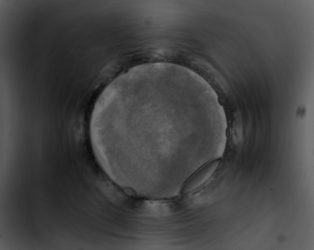 X0000102840520200809081223