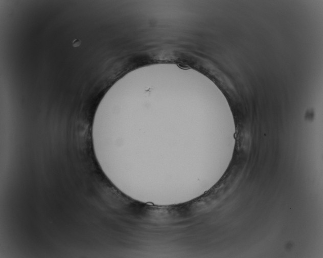 X0000102840521200809081223