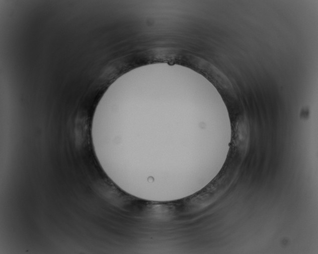 X0000102840522200809081223