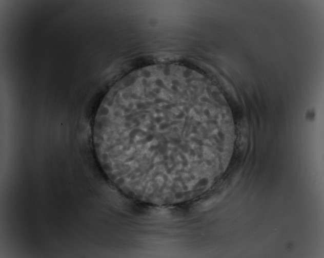 X0000102840523200809081223