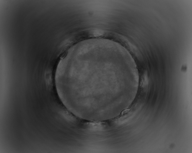 X0000102840524200809081223