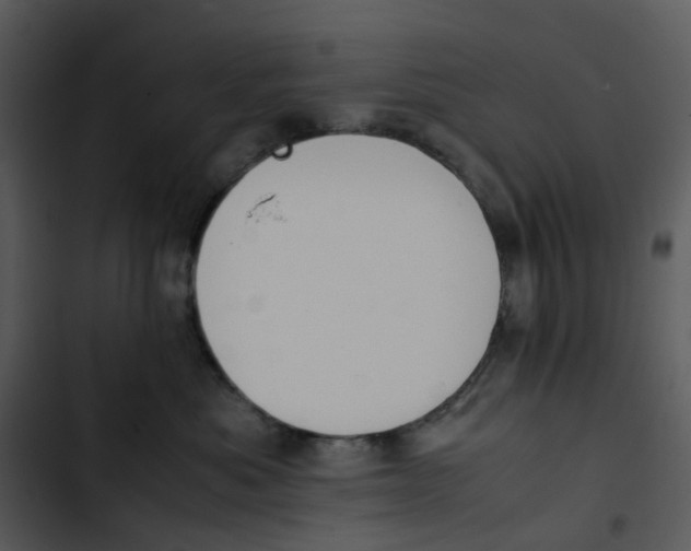 X0000102840525200809081223