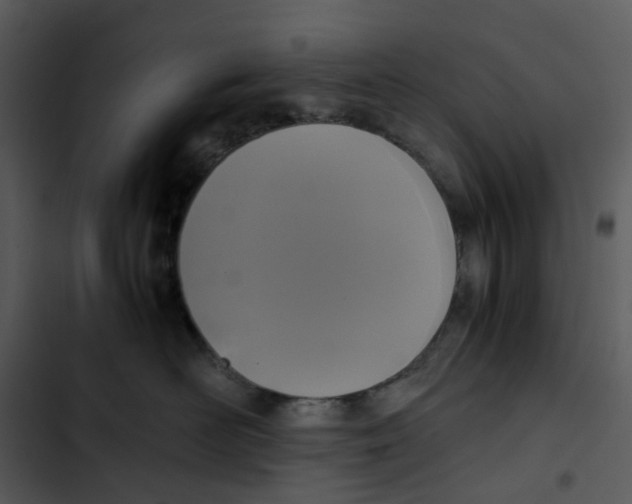 X0000102840526200809081223