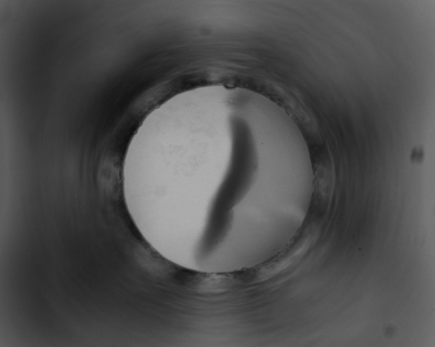 X0000102840527200809081223