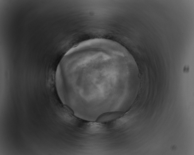 X0000102840528200809081223