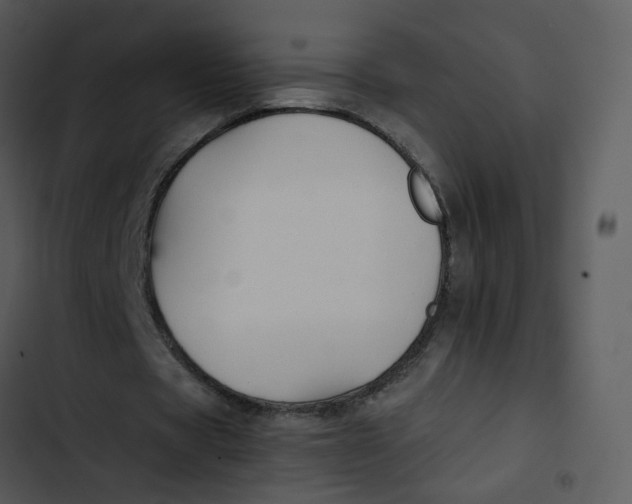 X0000102840529200809081222