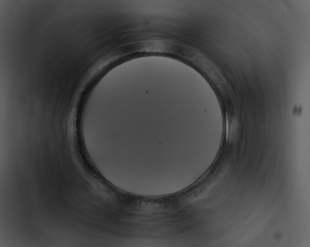 X0000102840531200809081222