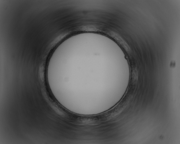 X0000102840533200809081222