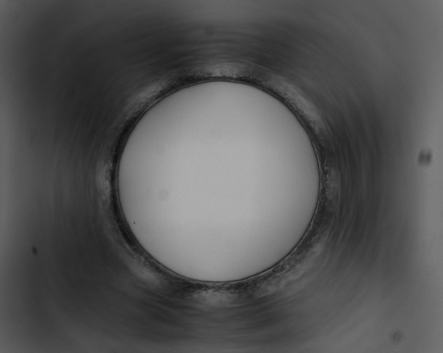 X0000102840537200809081222